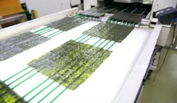 海苔の製造工程