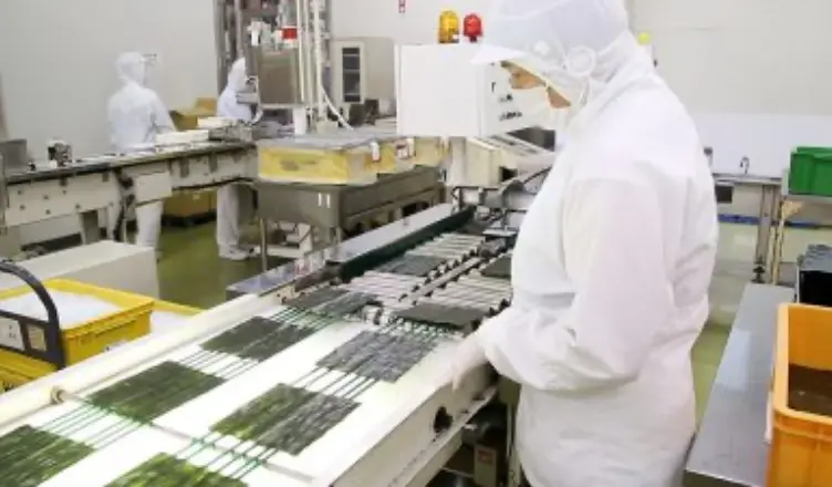 海苔の製造工程